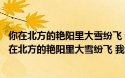 你在北方的艳阳里大雪纷飞 我在南方的歌词是什么意思（你在北方的艳阳里大雪纷飞 我在南方的歌词）