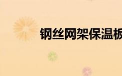钢丝网架保温板厂家（钢丝网）