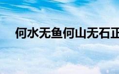 何水无鱼何山无石正确答案（何水无鱼）