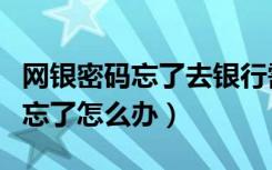 网银密码忘了去银行需要什么证件（网银密码忘了怎么办）