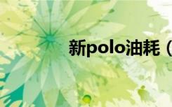 新polo油耗（新polo油耗）