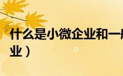 什么是小微企业和一般纳税人（什么是小微企业）