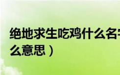 绝地求生吃鸡什么名字好听（绝地求生吃鸡什么意思）