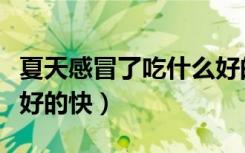 夏天感冒了吃什么好的快（夏天感冒了吃什么好的快）