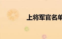 上将军官名单（上将张阳）