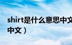 shirt是什么意思中文翻译（shirt是什么意思中文）