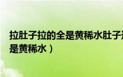 拉肚子拉的全是黄稀水肚子还咕咕叫怎么办（拉肚子拉的全是黄稀水）