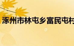 涿州市林屯乡富民屯村地图（涿州市林屯乡）