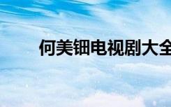 何美钿电视剧大全（何美钿电视剧）
