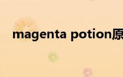 magenta potion原版（magento主机）