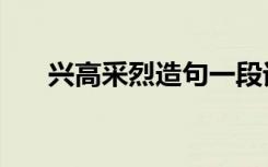 兴高采烈造句一段话（兴高采烈造句）