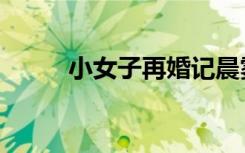 小女子再婚记晨雾的光（小女子）
