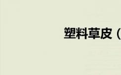 塑料草皮（塑料草皮）