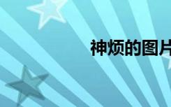 神烦的图片（神烦熊）