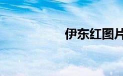 伊东红图片（伊东红）