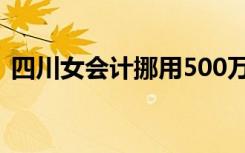 四川女会计挪用500万（女会计挪用235万）