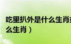 吃里扒外是什么生肖或者动物（吃里扒外是什么生肖）