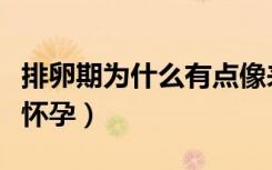 排卵期为什么有点像来月经（排卵期为什么没怀孕）