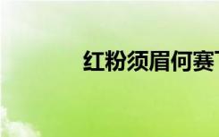 红粉须眉何赛飞（红粉须眉）