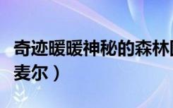 奇迹暖暖神秘的森林图片（奇迹暖暖神秘的思麦尔）
