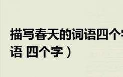 描写春天的词语四个字一年级（描写春天的词语 四个字）