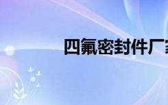 四氟密封件厂家（四氟密封）