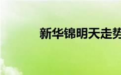 新华锦明天走势（新华锦龙邸）