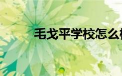 毛戈平学校怎么样（毛戈平学校）