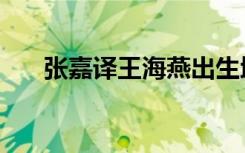 张嘉译王海燕出生地（张嘉译王海燕）