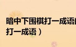暗中下围棋打一成语的正确答案（暗中下围棋打一成语）