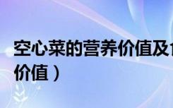 空心菜的营养价值及食用方法（空心菜的营养价值）