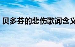 贝多芬的悲伤歌词含义（贝多芬的悲伤萧风）