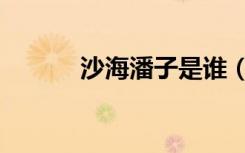 沙海潘子是谁（沙海潘子是谁）