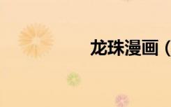 龙珠漫画（龙珠争夺）