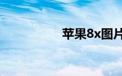 苹果8x图片（苹果8x）