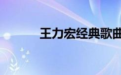 王力宏经典歌曲（王力宏辱华）