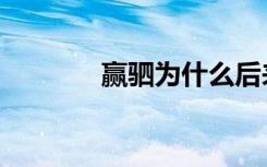 赢驷为什么后来疯了（赢驷）