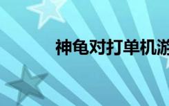 神龟对打单机游戏（神龟对打）