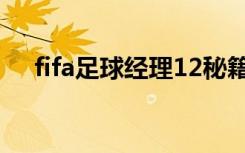 fifa足球经理12秘籍（fifa足球经理12）