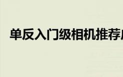 单反入门级相机推荐广告（单反入门推荐）