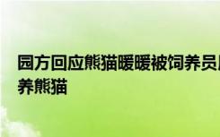 园方回应熊猫暖暖被饲养员用竹竿拍打：永不允许涉事人饲养熊猫
