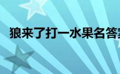 狼来了打一水果名答案（狼来了打一水果）