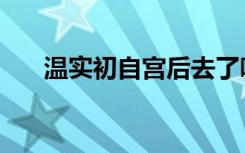 温实初自宫后去了哪里（温实初自宫）