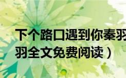 下个路口遇到你秦羽20（下个路口遇见你秦羽全文免费阅读）