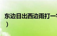 东边日出西边雨打一字（东边日出西边雨全诗）
