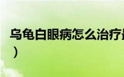 乌龟白眼病怎么治疗最好（乌龟白眼病怎么办）