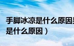 手脚冰凉是什么原因男性怎么调理（手脚冰凉是什么原因）