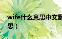 wife什么意思中文翻译怎么读（wife什么意思）