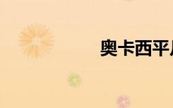 奥卡西平片（奥卡）