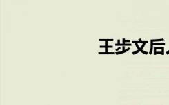王步文后人（王步）